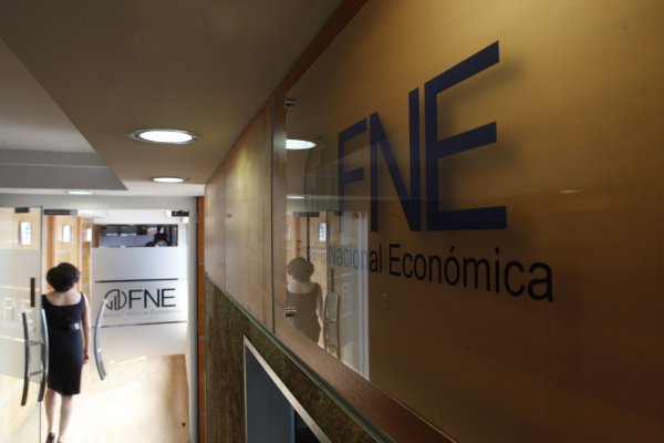 FNE abre investigación tras joint venture entre Arauco y Etex