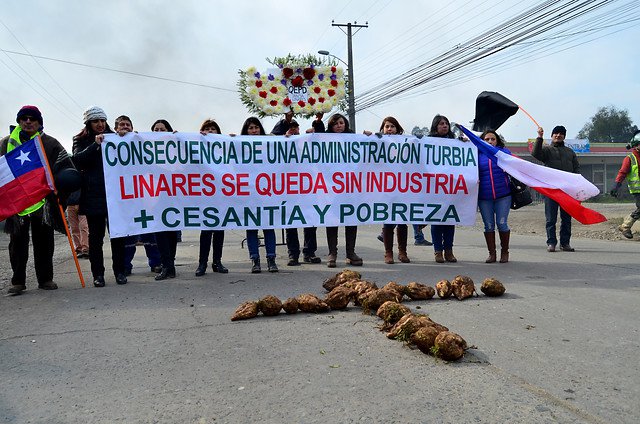 <p>Iansa finalmente da inicio a los despidos en Linares y detalla planes de salida de los trabajadores</p>