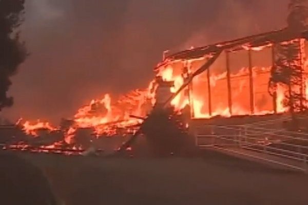 <p>Ahora en DF: El incendio en California consumió 150.000 hectáreas</p>