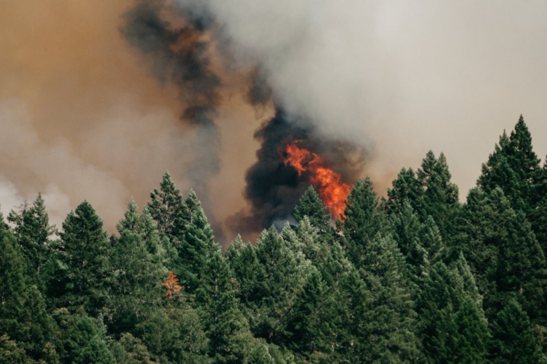 <p>Intendenta Rubilar: incendios han aumentado 14% en RM pero han sido menos dañinos</p>