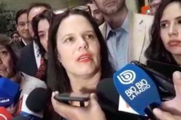 <p>Ahora en DF: Maya Fernández anuncia su candidatura para presidir el PS</p>