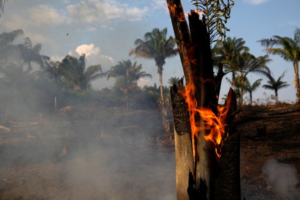 Bolsonaro insinúa que las ONG pueden estar detrás de incendios en Amazonía