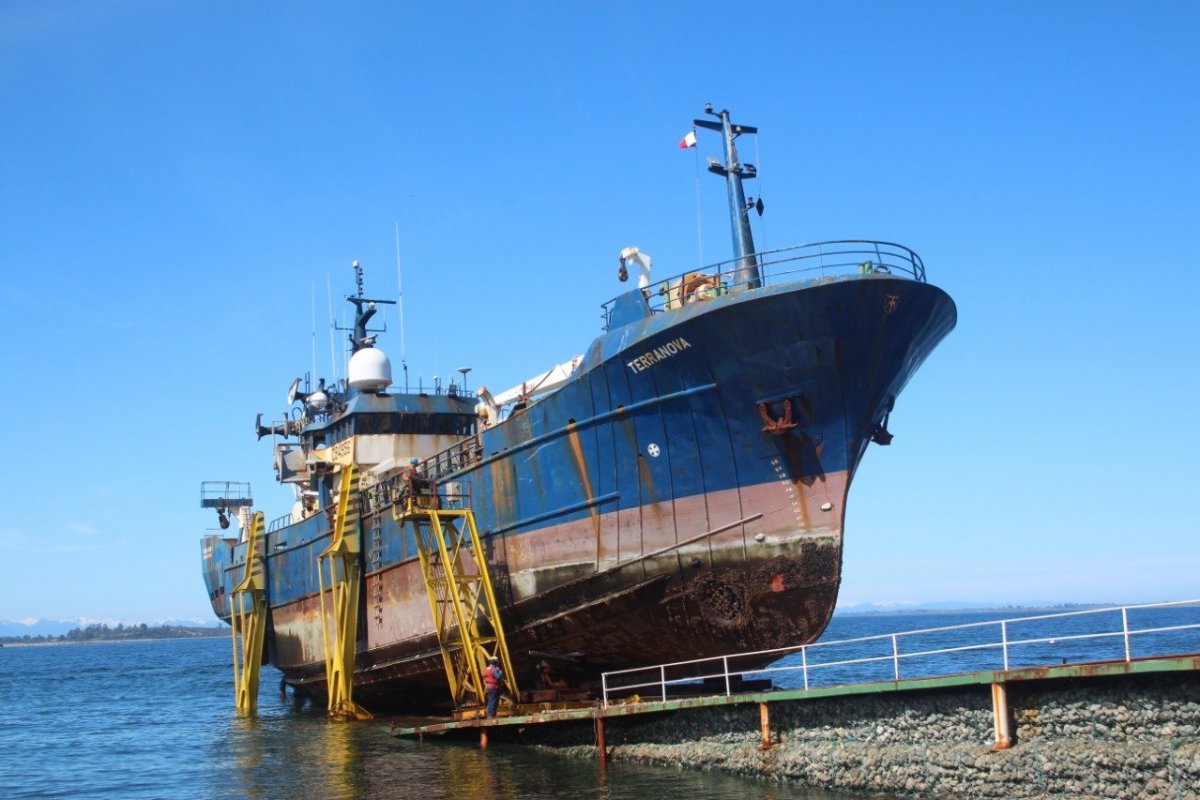 <p>Alimar desvinculó a 400 trabajadores de Coronel y Valparaíso por nueva ley de la jibia</p>