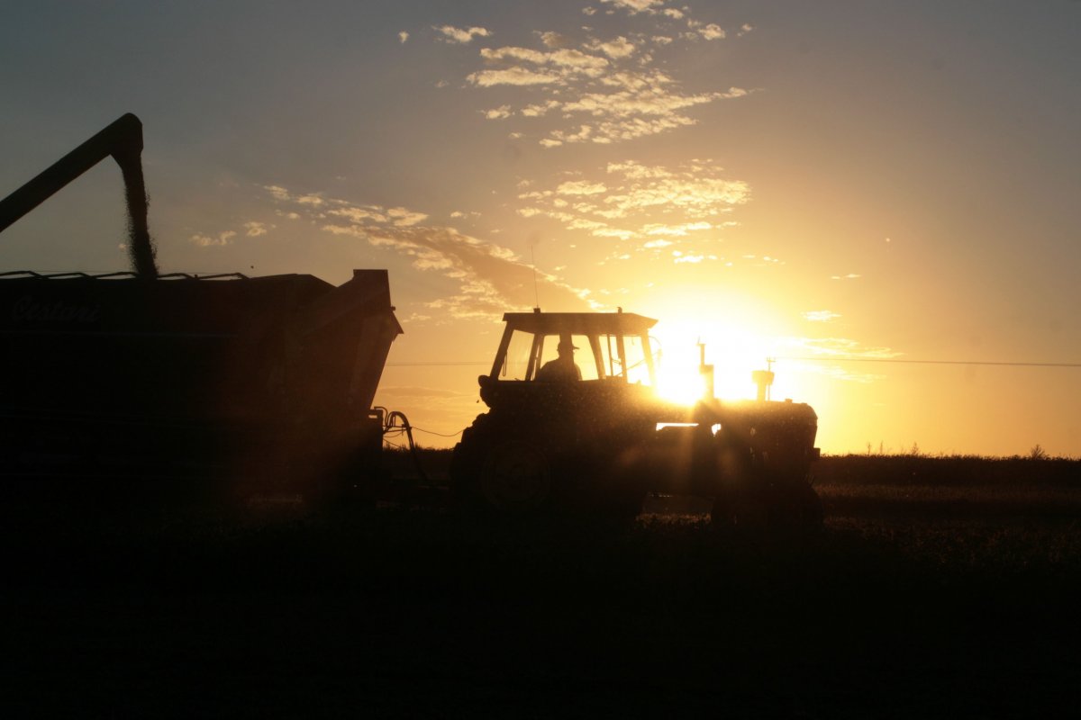 <p>SNA lanza iniciativa para startups que desarrollen soluciones para el agro</p>