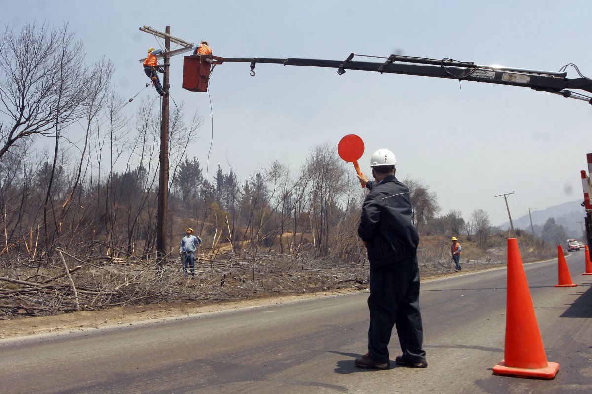 <p>CGE acuerda reparar 9 mil hectáreas de terrenos a raíz de incendios ocurridos en 2017</p>