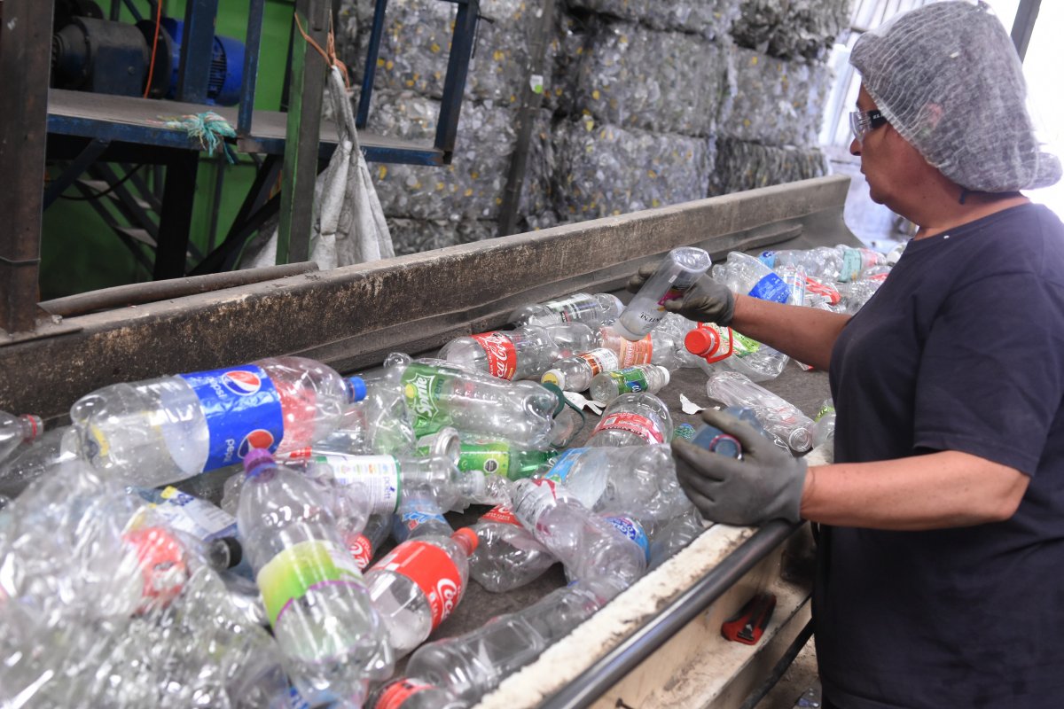 <p>La normativa establece metas fijas de retiro para cada material: cartón para líquidos (60%), metal (55%), papel y cartón (70%), plásticos (45%) y vidrio (65%). </p>