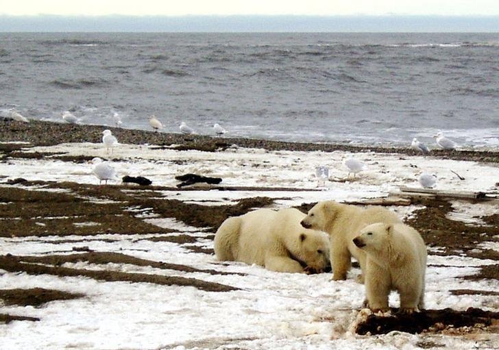 <p>La investigación señala que existen diferencias en las temperaturas de las aguas, pero también en sus niveles de sal.</p>