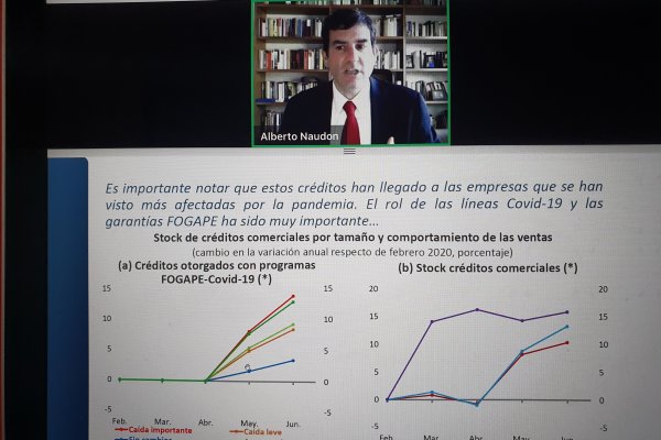 <p>El consejero del Banco Central, Alberto Naudon, dijo que aún está presente la posibilidad de escenarios de riesgo más negativos. </p>