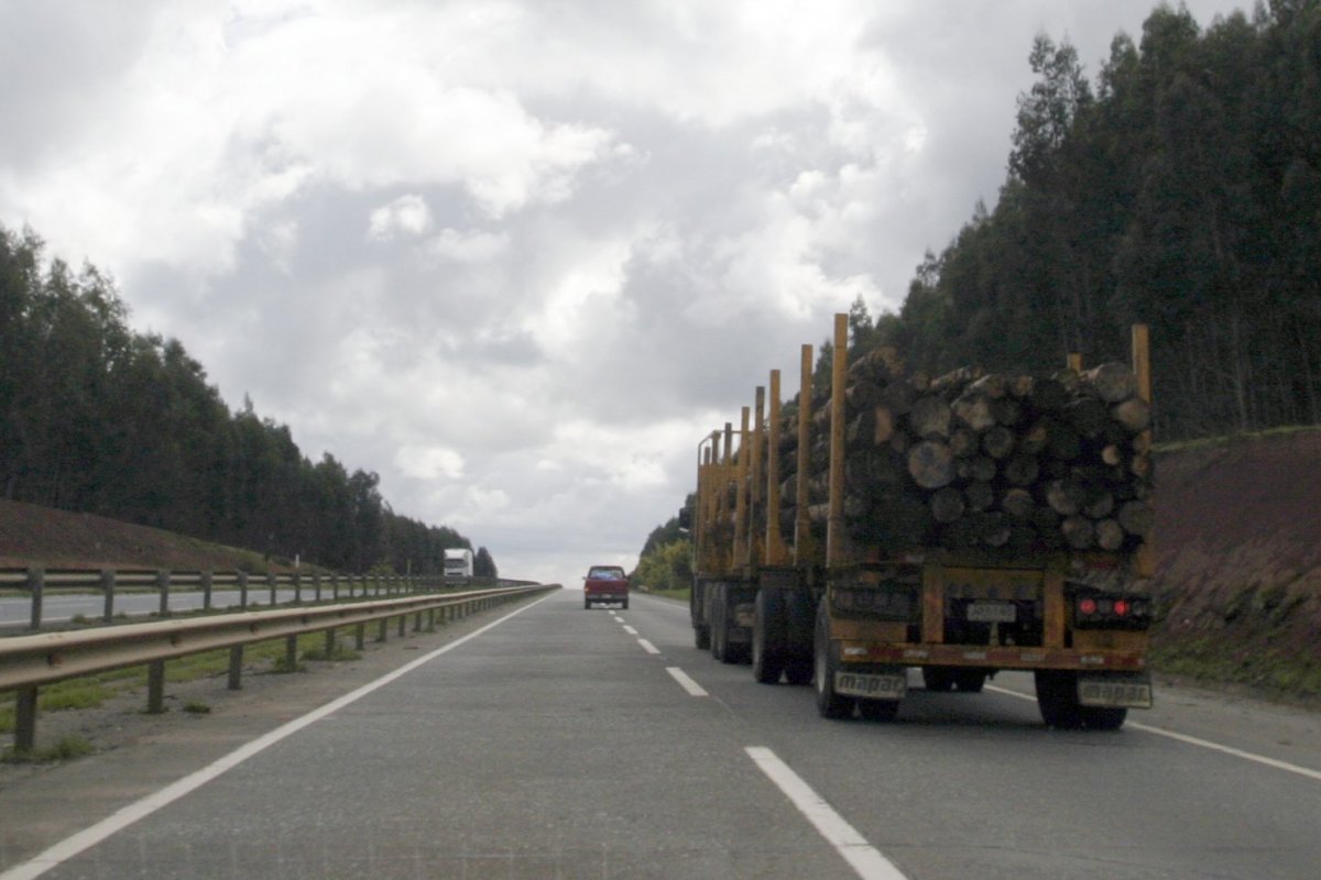 <p>Sociedad Nacional Forestal pide a los poderes del Estado implementar medidas de protección ante atentados</p>