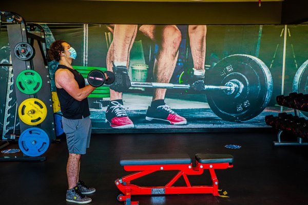 De Vuelta Al Gimnasio Diario Financiero