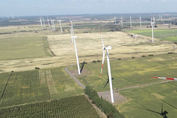 <p>Los parques eólicos que se están levantando en el país pueden son claves para la producción de hidrógeno verde. Foto: Bloomberg</p>