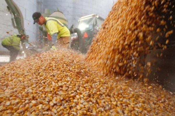 Sindicato de recibidores de granos de Argentina inicia huelga en puertos agroexportadores