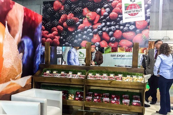 <p>Hortifrut hace positivo balance de 2020 y prevé que demanda por berries siga creciendo</p>