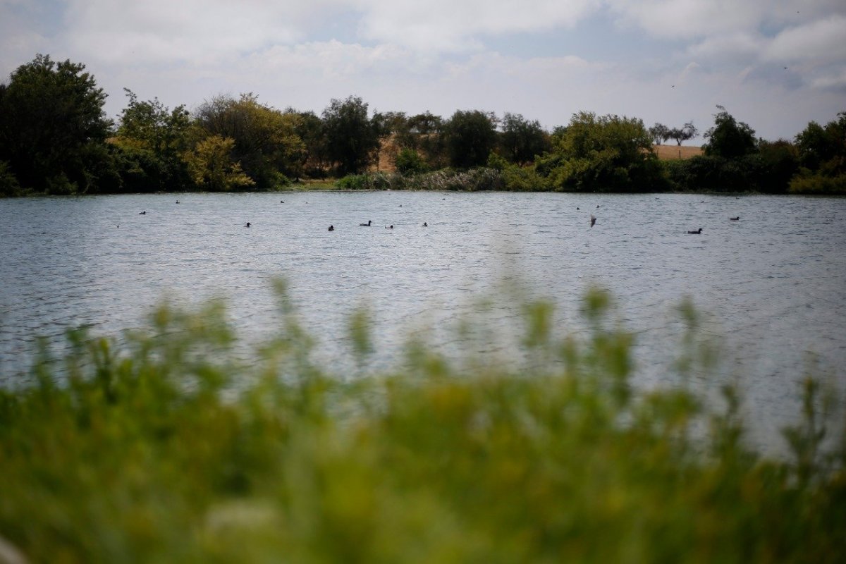 <p>Empresas certificadas podrán rebajar de impuestos el gasto en manejo eficiente del agua</p>