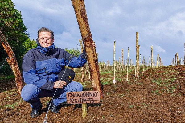 Montes y su cosecha en Chiloé: “No existe otro proyecto tan extremo en Chile”