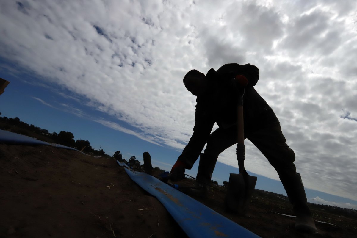 <p>MOP advierte menores caudales en la zona central para la temporada de riego</p>