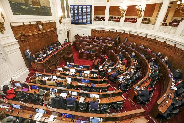 Detalles del “Constitucionalito”, el personaje que prepara la Convención