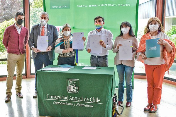 El rol de la Universidad Austral en la Convención Constitucional