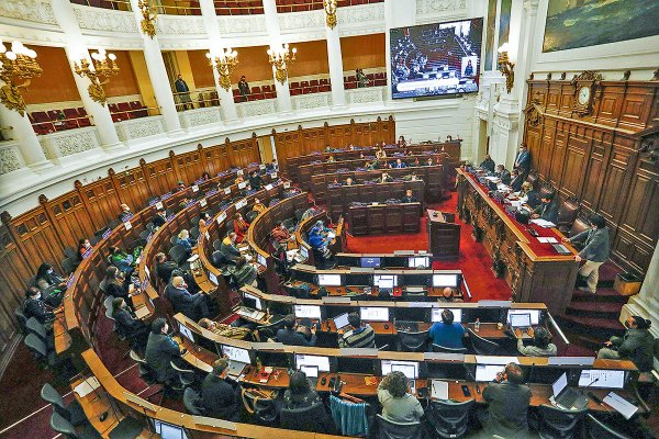 Educación, pensiones, libertad de conciencia y protección de los animales: las “iniciativas populares” que quieren llegar a la Convención