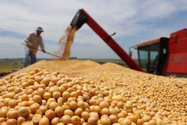 Crisis Rusia-Ucrania: principales energéticas de Latinoamérica caen, pero agroexportadoras suben en bolsa