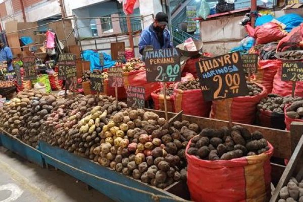 Agricultores peruanos advierten que la producción de alimentos caerá 40% en los próximos 3 y 6 meses por falta de fertilizante