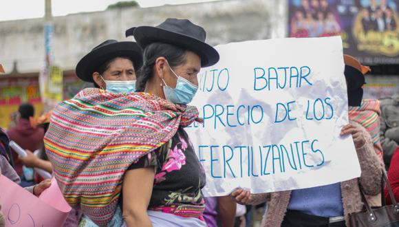 Gobierno de Perú evalúa construir más de una planta petroquímica para producir fertilizantes