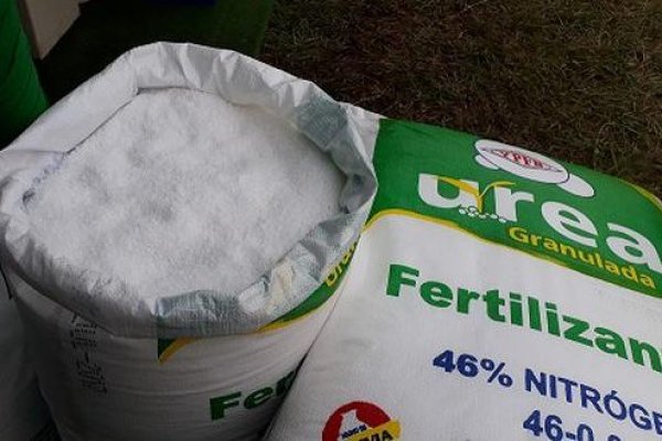 Contraloría de Perú advierte que ganadora de licitación de fertilizantes no asegura tiempo de entrega