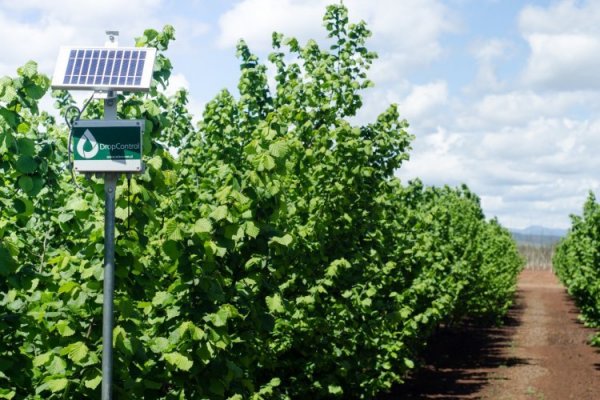 El plan de expansión de la startup que trabaja en base a la crisis hídrica en la agricultura