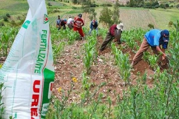 Perú lanzará pronto nueva compra de fertilizantes