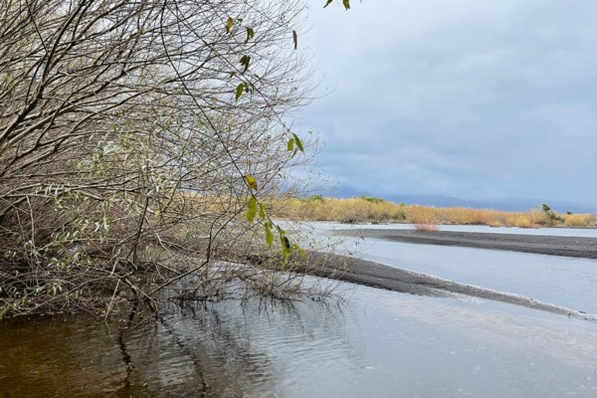 <p>Ministerio de Medio Ambiente oficializa resguardo al segundo humedal urbano más grande protegido por ley</p>