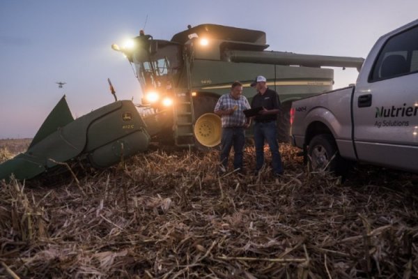 Canadiense Nutrien amplía su presencia en Brasil y adquirirá a cadena minorista