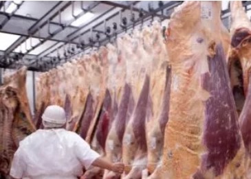 Exportadores colombianos de carne aprovechan tasa de cambio y ventas crecen más de 130%