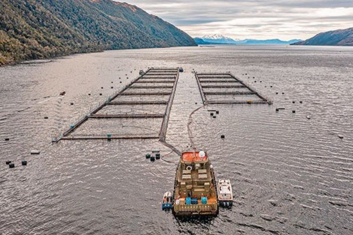 <p>Boric critica otra vez a las salmoneras y buscará que se les aplique una mayor fiscalización</p>