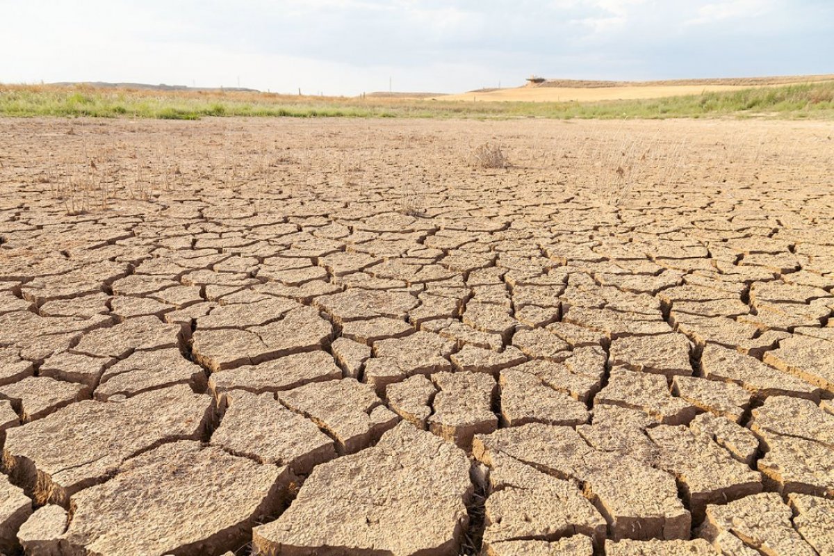 <p>El estrés hídrico y el calor empeoran "significativamente las perspectivas negativas anteriores sobre los rendimientos de los cultivos de verano". </p>