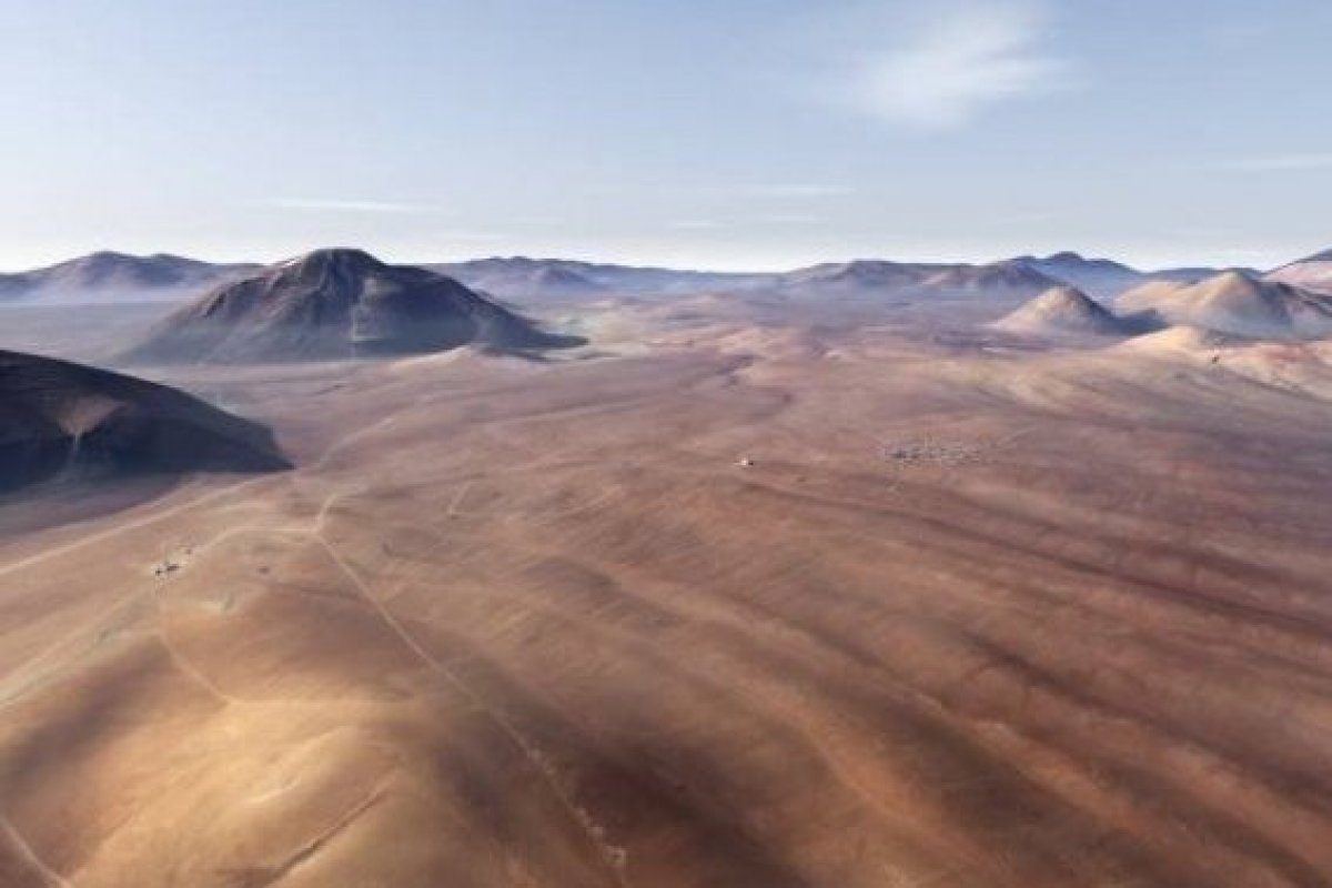 <p>Los guardaparques esperan que a partir de la segunda quincena de septiembre se pueda tener una mayor floración.</p>