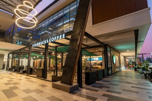 Alsea planea abrir 200 Starbucks en México