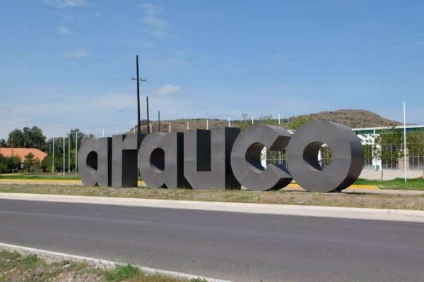 Chilena Arauco invertirá US$ 235 millones para construcción de nueva línea de producción en México