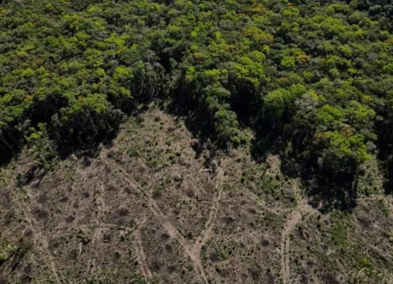 Presidenciales en Brasil aceleran carrera por la deforestación en la Amazonía