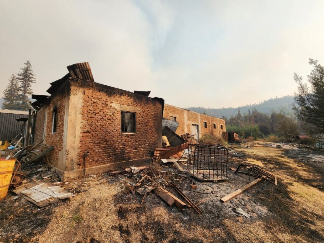 <p>Primeros reportes de productores de frutas aluden a desolador panorama en zonas afectadas por los incendios</p>