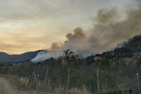 Sociedad Nacional Forestal propondrá bateria de medidas contra la emergencia de incendios y acciones de largo plazo