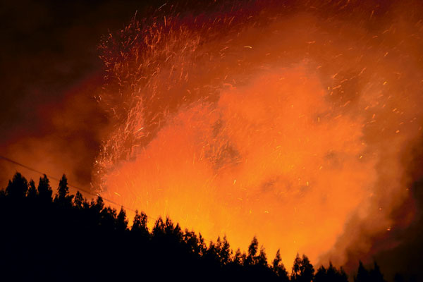 Los incendios forestales en la zona centro-sur tendrían, en algunos casos, seguros comprometidos. Foto: Agencia UNO