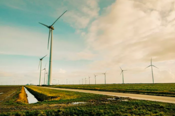 Argentina apuesta por la energía verde y se ubica como el cuarto productor de renovables de la región