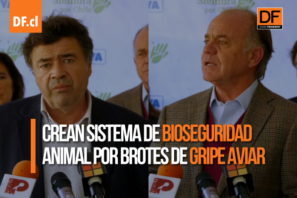 <p>Ahora en DF | Ministerio de Agricultura anuncia la creación de un Sistema de Bioseguridad Animal ante brotes de gripe aviar</p>