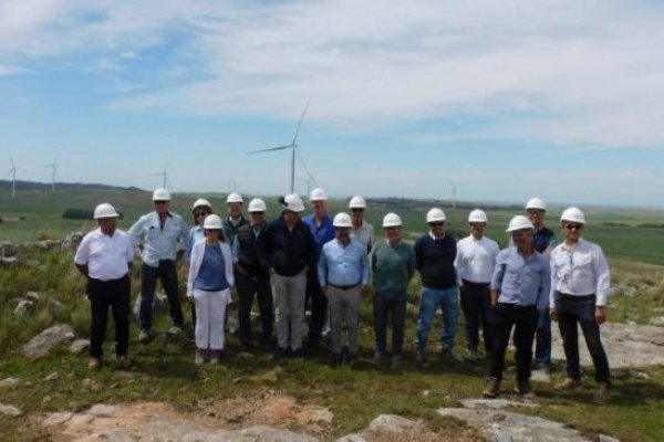 Argentinas YPF Luz y Cementos Avellaneda se asocian para desarrollar un nuevo parque eólico