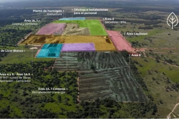 Gigante de la celulosa en Paraguay paraliza millonaria inversión por altos costos de endeudamiento en el mundo