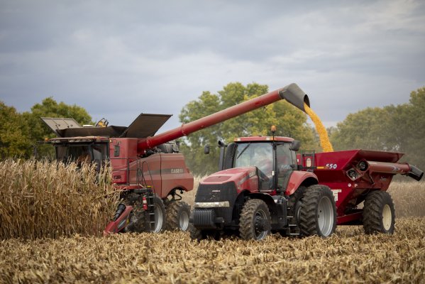 <p>Los vecinos europeos de Ucrania prorrogarán la prohibición de importar cereales</p>