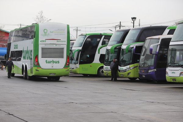 La pelea en tribunales entre Tur Bus y gobierno regional de Atacama