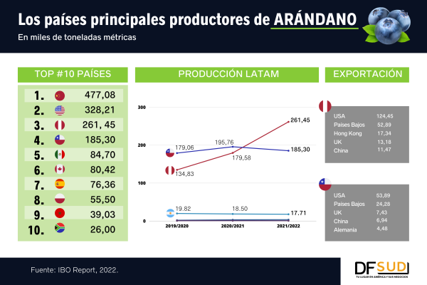 Mercado de arándanos en América Latina: Perú supera a Chile como líder regional en producción