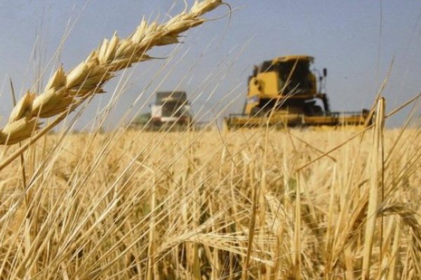 Bunge se fusiona con Viterra para convertirse en la principal exportadora de granos de Argentina