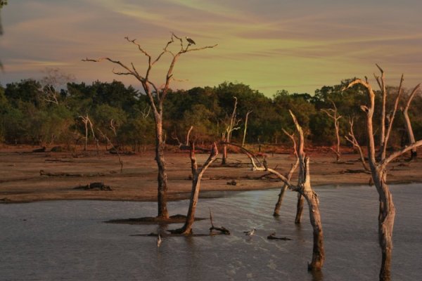 Sequía golpea al departamento colombiano de La Guajira y Gobierno declara emergencia económica